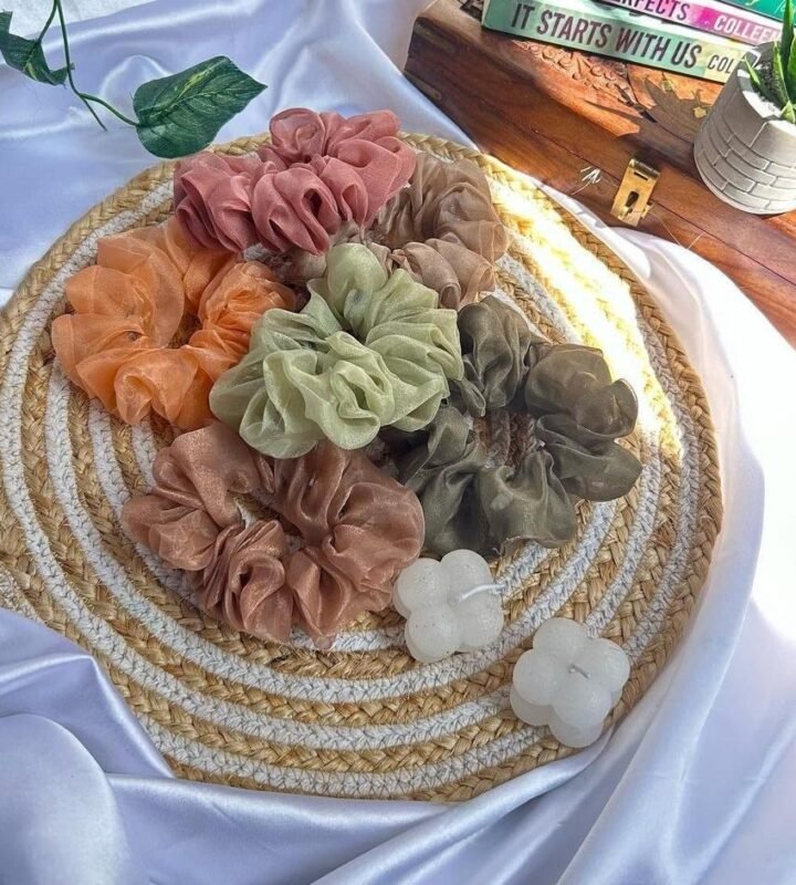 Organza Hair Scrunchies – Earthy Pastel Color Set